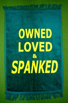 OWNED  LOVED & SPANKED - Crying Towel   $9.95