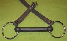 Rubber Bit Gag  - Awesome at only  $26.95  WOW 