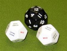 DISCIPLINE DICE / Black  "WOW"  $15.95