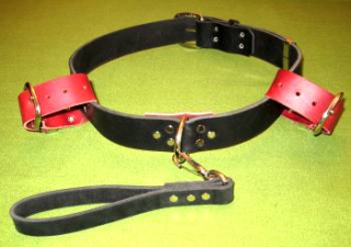  The Perfect  ~ SPANKING BELT "small"  Take a Look -  $57.95