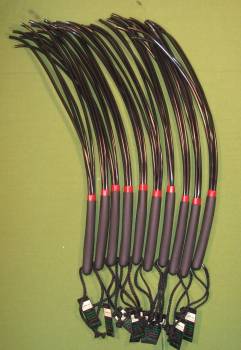WICKED wow,  wow, it is WICKED 10 Each - $89.95