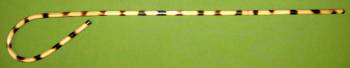 Tiger School House  Rattan Cane - 32"   -  $12.99