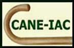 CANE-IAC Spanking Toy Store