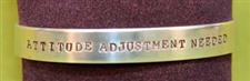 ATTITUDE ADJUSTMENT NEEDED  Bracelet  - Great Conversation Starter  -  Only $19.99
