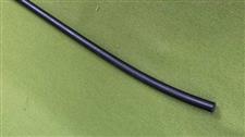 Black Snake