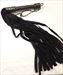 Black 26 Suede Falls 26+ $45.99