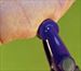 Skin Pincher Clamps -  4 Clamps - OUCH Really Pinch $7.99