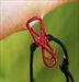 Zipper Line or Zip Line with 12 Clips, A HUGE OUCH   $14.99