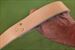 CRINGE - 3 in 1 - Leather Stap with FREE SHIPPING - only $44.99