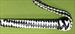 Zebra  FLOGGER  WHIP -  29   -  Bottoms will be Jumping    $34.99