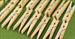 MINI Clothes Pin Clamps - Set of 24 - $9.99 - NOW only $8.99