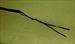 Leather SPLIT TAIL WHIP  ~  35 long  ~  Hair Raising  ~ $34.99