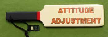 ATTITUDE ADJUSTMENT Paddle ~ 3 1/2" x 16" x 1/2"  $20.99 